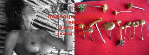 экстази Осинники